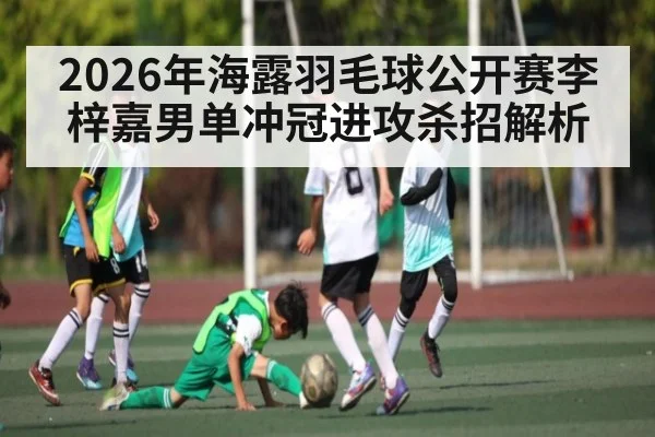 2026年海露羽毛球公开赛李梓嘉男单冲冠进攻杀招解析